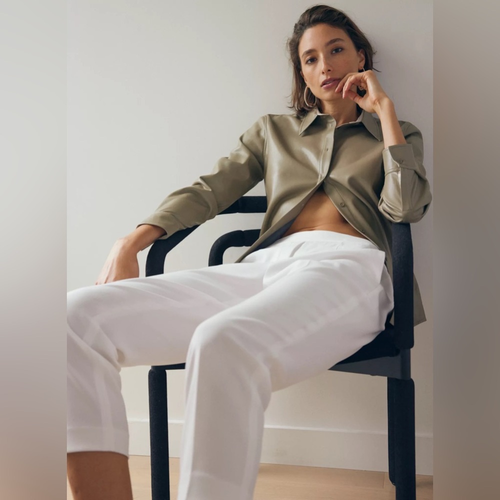 Aritzia Conan tailored pants